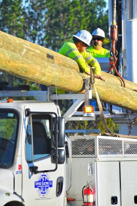 Crews loading poles onto trucks to repair damage caused by Hurricane Michael